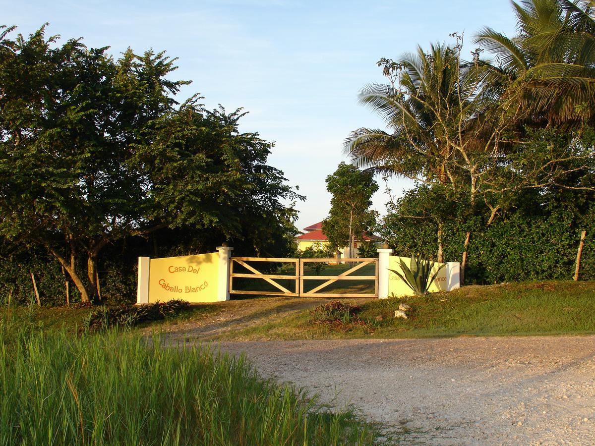 Casa Del Caballo Blanco San Ignacio Exterior photo