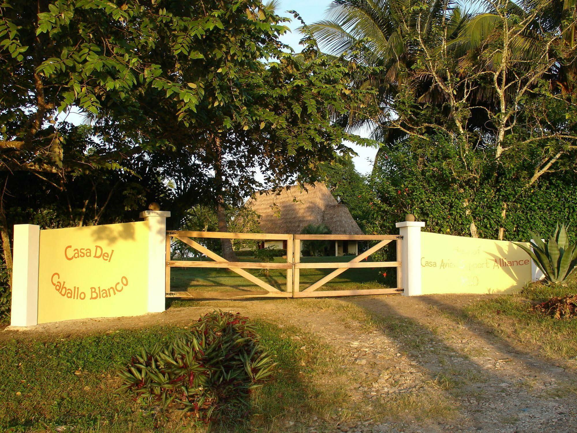 Casa Del Caballo Blanco San Ignacio Exterior photo